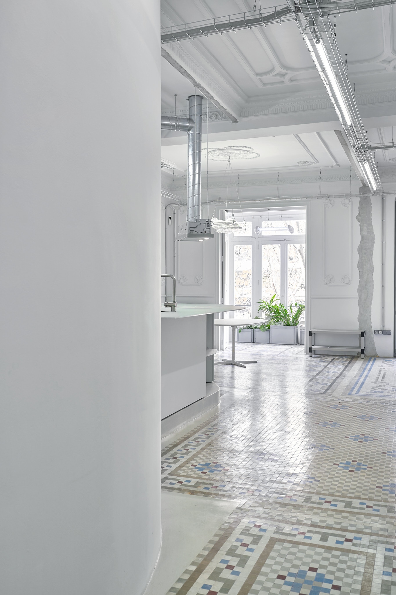Posthuman Cras in a Neoclassical Apartament