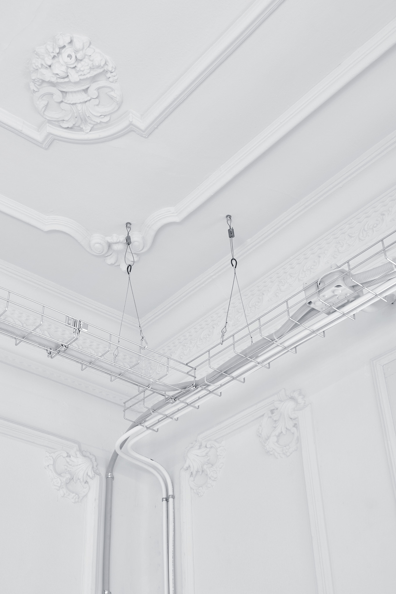 Posthuman Cras in a Neoclassical Apartament